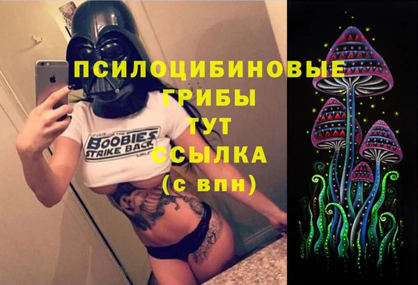 сатива Балабаново