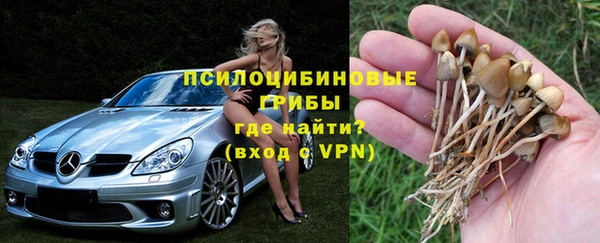 сатива Балабаново