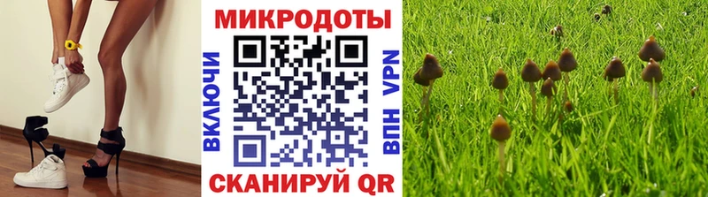 дарк нет клад  Староминская  Галлюциногенные грибы Cubensis 