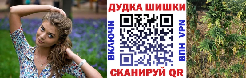 площадка клад  Староминская  Конопля гибрид 